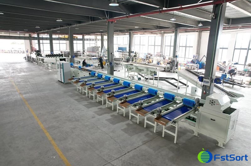 images/1676620528068fruit sorting grading machine.jpg